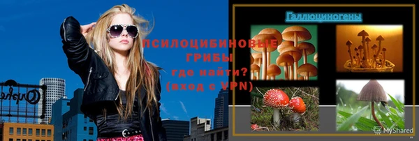 эйфоретик Дмитровск