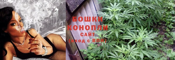 первитин Новозыбков