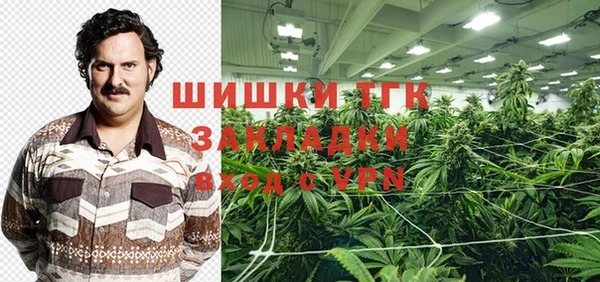 первитин Новозыбков