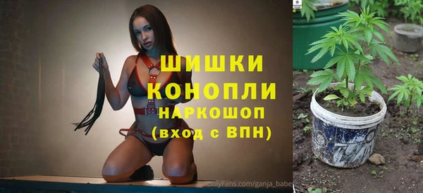 хмурый Дмитриев